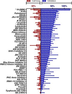 High-Content Screening of Eukaryotic Kinase Inhibitors Identify CHK2 Inhibitor Activity Against Mycobacterium tuberculosis